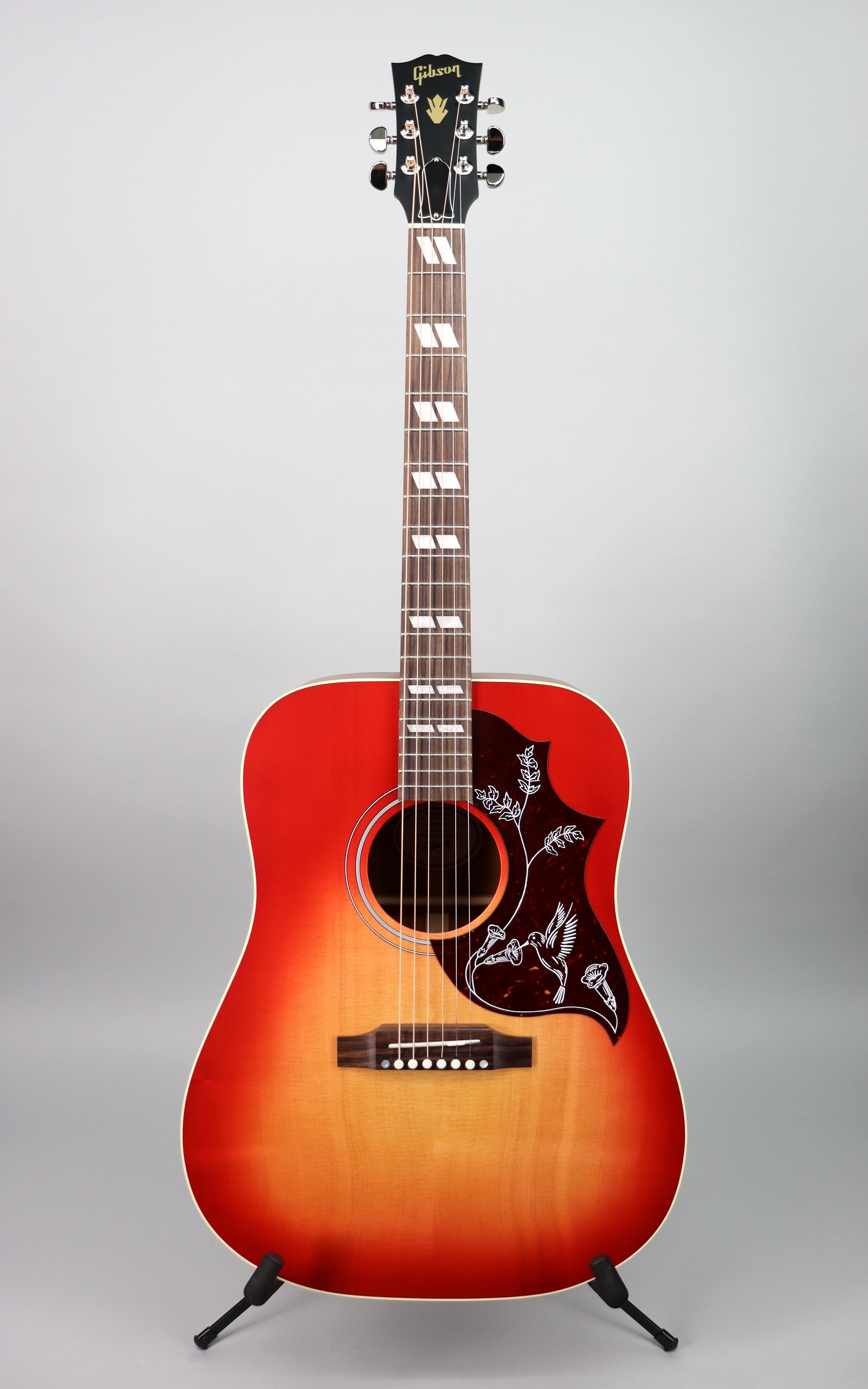GibsonHBirdSpcStnVintSbst02_20